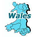 Wedding Discos in Wales